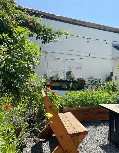 The courtyard on a sunny day: raised garden beds, a wooden bench and gravel under string lights.