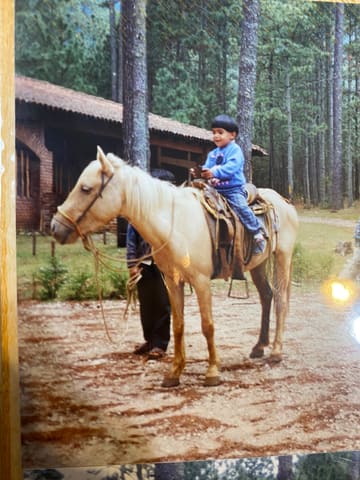 An old family photo: a small boy in a blue sweater rides a palomino horse among tall pines.