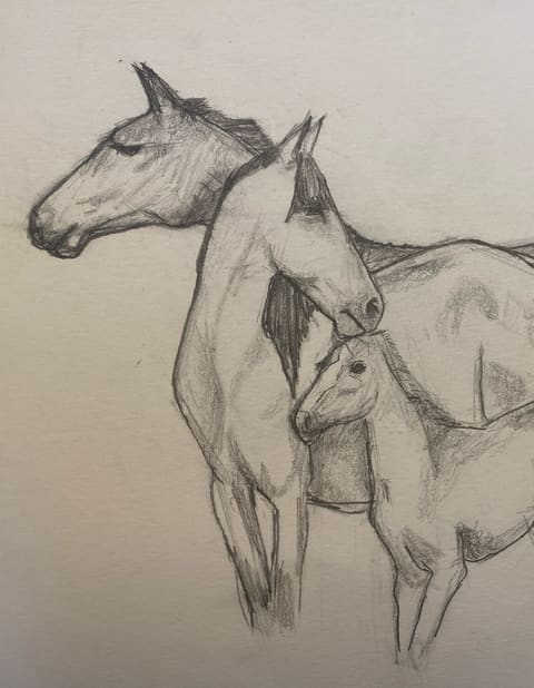 A pencil sketch of a mare and her foal.