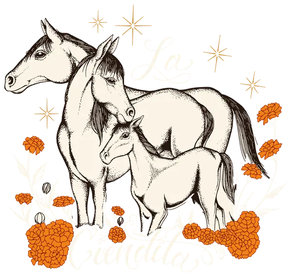 La Ciendita